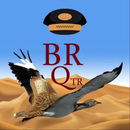 BR QTR Rider