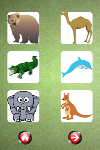 Sound Flash Cards of Animals screenshot 3