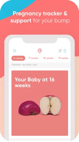 Game screenshot Kiindred: Pregnancy & Baby App hack