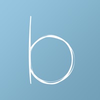 Bowelle: журнал записей об СРК на пк