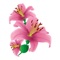 This is a set of beautiful lily iMessage stickers with colorful colors