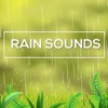 Rain Sounds*