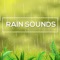 Icon Rain Sounds*