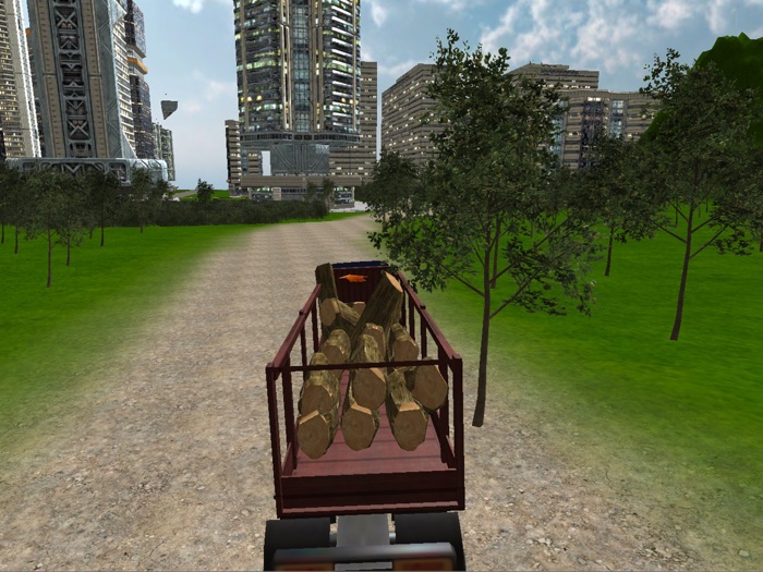 City Car Transporter