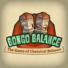 Activities of Bongo Balance SA