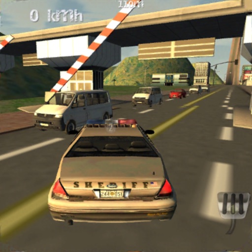 Police Cars Driving Simulator Icon