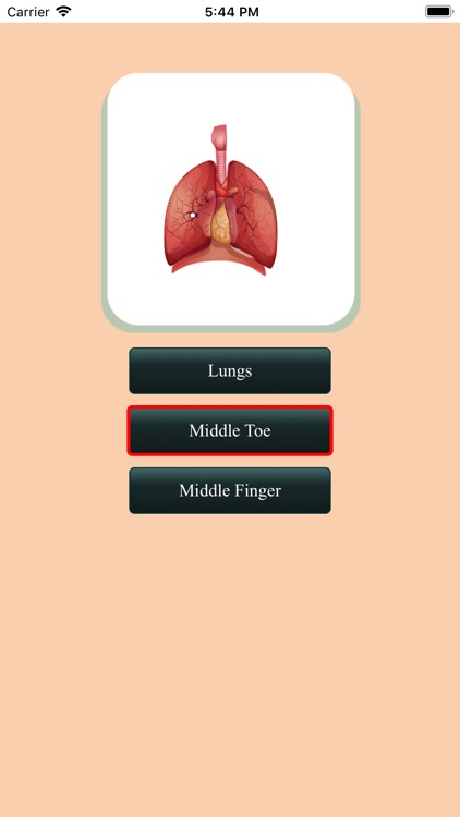 Human body name screenshot-6