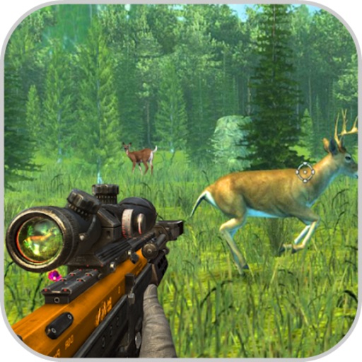 Sniper Hunter Abilities