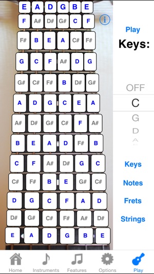 Guitar Fretboard Addict FREE(圖4)-速報App