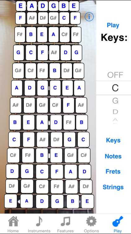 Guitar Fretboard Addict FREE screenshot-3