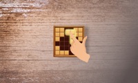Block Puzzle - Brain Games Pro