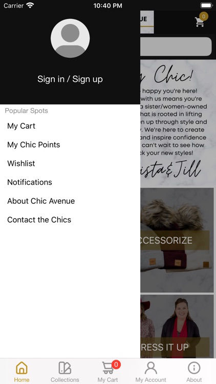 Chic Avenue Boutique