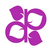 Purple Professional pour PC