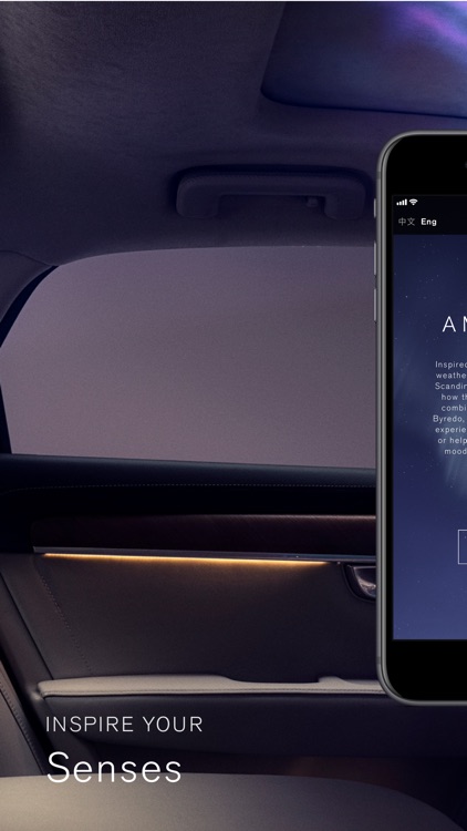 Volvo Ambience
