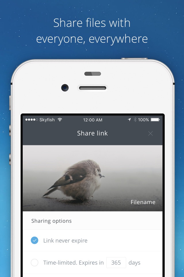 Skyfish App screenshot 2