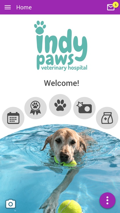 Indy Paws Vet