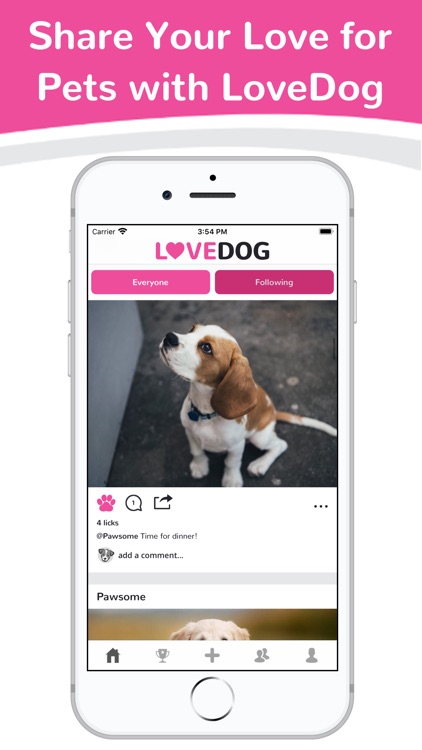 Love Dog - App for dog lovers