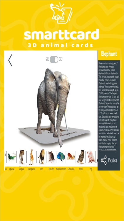 Smarttcard Animals 3D