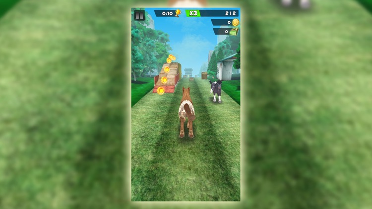 My Pony Horse Riding Adventure screenshot-4