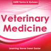 Veterinary Medicine Exam Prep - Tourkia CHIHI