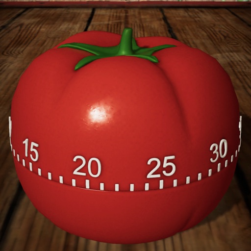 Real Kitchen Timer