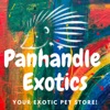 Panhandle Exotics