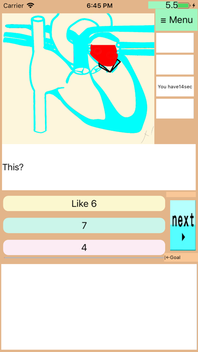 DrAnimationStudyHeartTimerQuiz screenshot 2