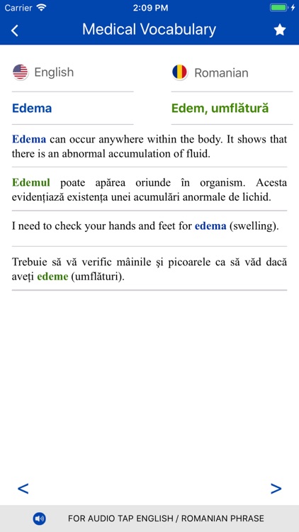 Medical Vocabulary Audio EN-RO screenshot-3