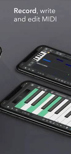 Captura de Pantalla 3 n-Track Studio | DAW iphone