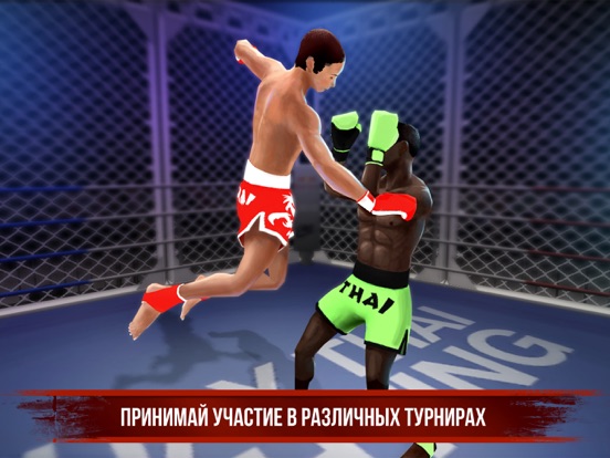 Игра Muay Thai Fighting - Боксер