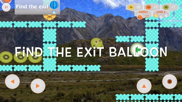Kiwi Hobo Run Fruit Adventure screenshot-3
