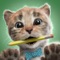 Yay, Little Kitten is back and so excited about going to primary school