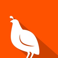 Quail for Vendors pour PC
