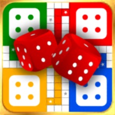 Activities of Ludo Games