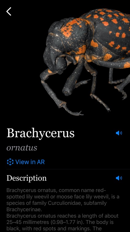 Insecta: screenshot-5