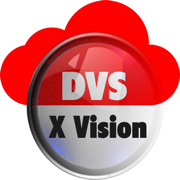 DVS Xvision