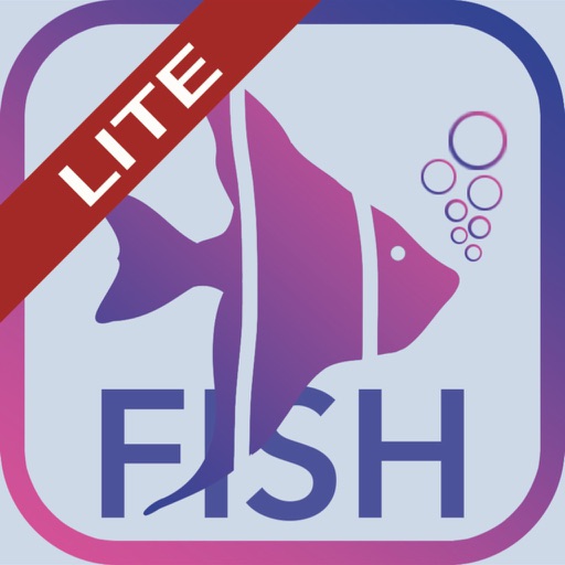 Fish Bait Lure Lite Quiz 2019