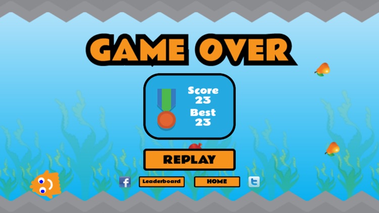 Squeeze Squidoo For Fun screenshot-4