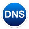 DNS Auto Updater
