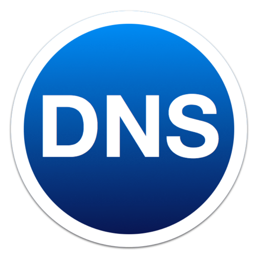 DNS Auto Updater