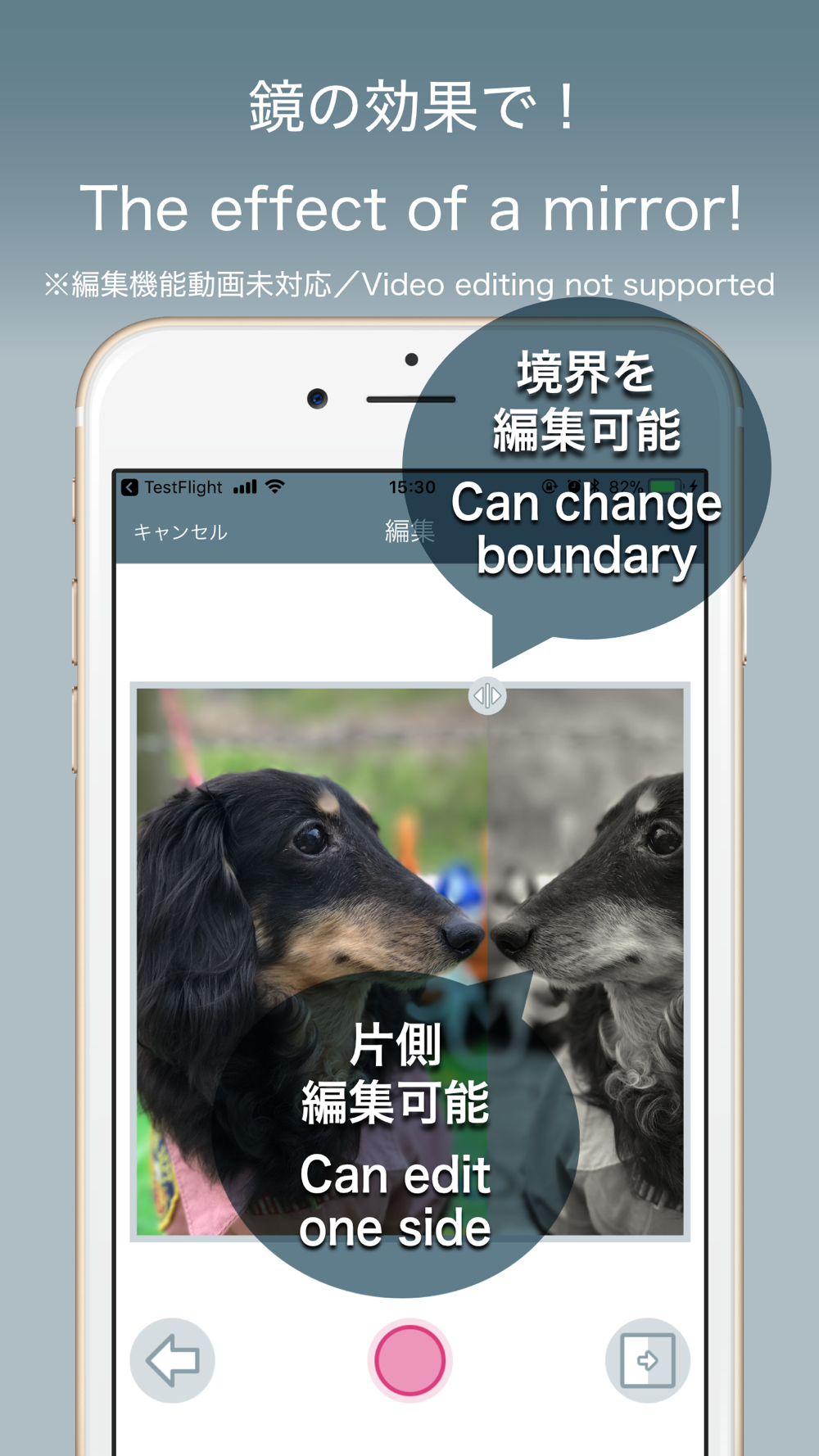 Camirror 画像や動画のミラー反転 Free Download App For Iphone Steprimo Com