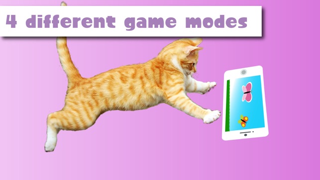 HappyCats games for Cats(圖3)-速報App