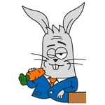 Bunny Mister Morkovkin Rabbit