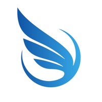 Time and Freedom Team pour PC