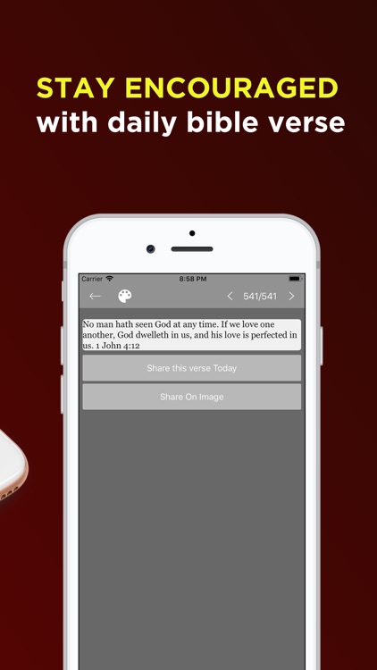 King James Bible -Offline Pro screenshot-3