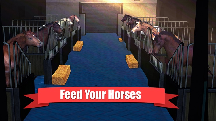 My Caring Horses Farm Pony 3D screenshot-5