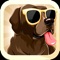 Download the best wallpaper and background app for dog lovers