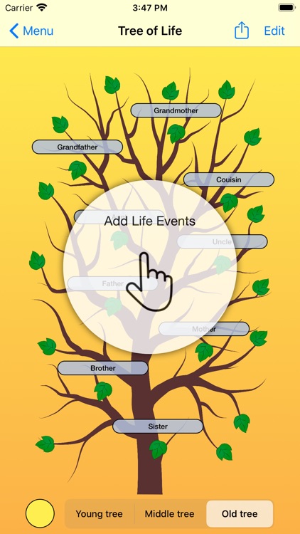 Tree of Life - Family Tree screenshot-6