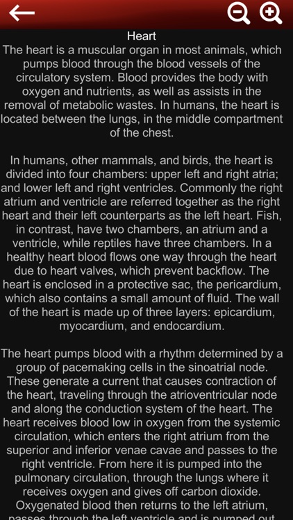 Circulatory System 3D Anatomy screenshot-5