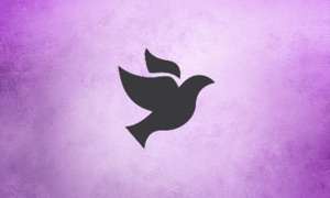 Kingdom Life Church Killeen